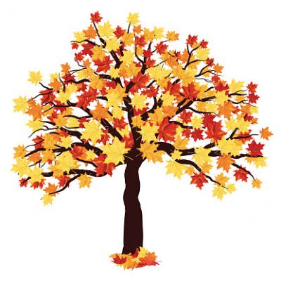 fall